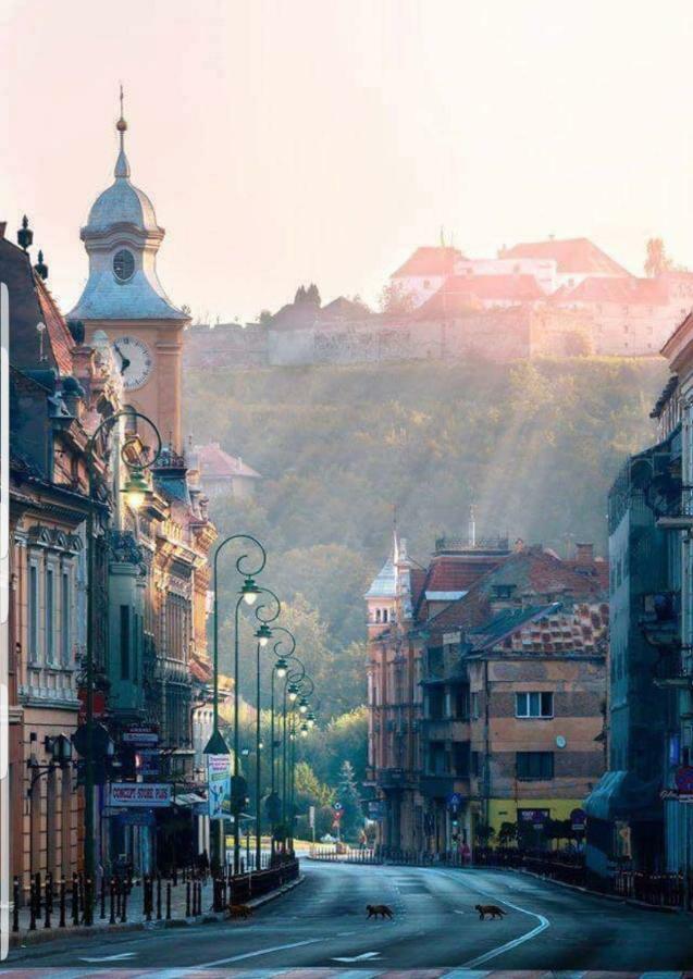 Strada Republicii Nr 26 Appartamento Braşov Esterno foto